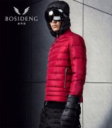 ��˾�Ƿ���2016����